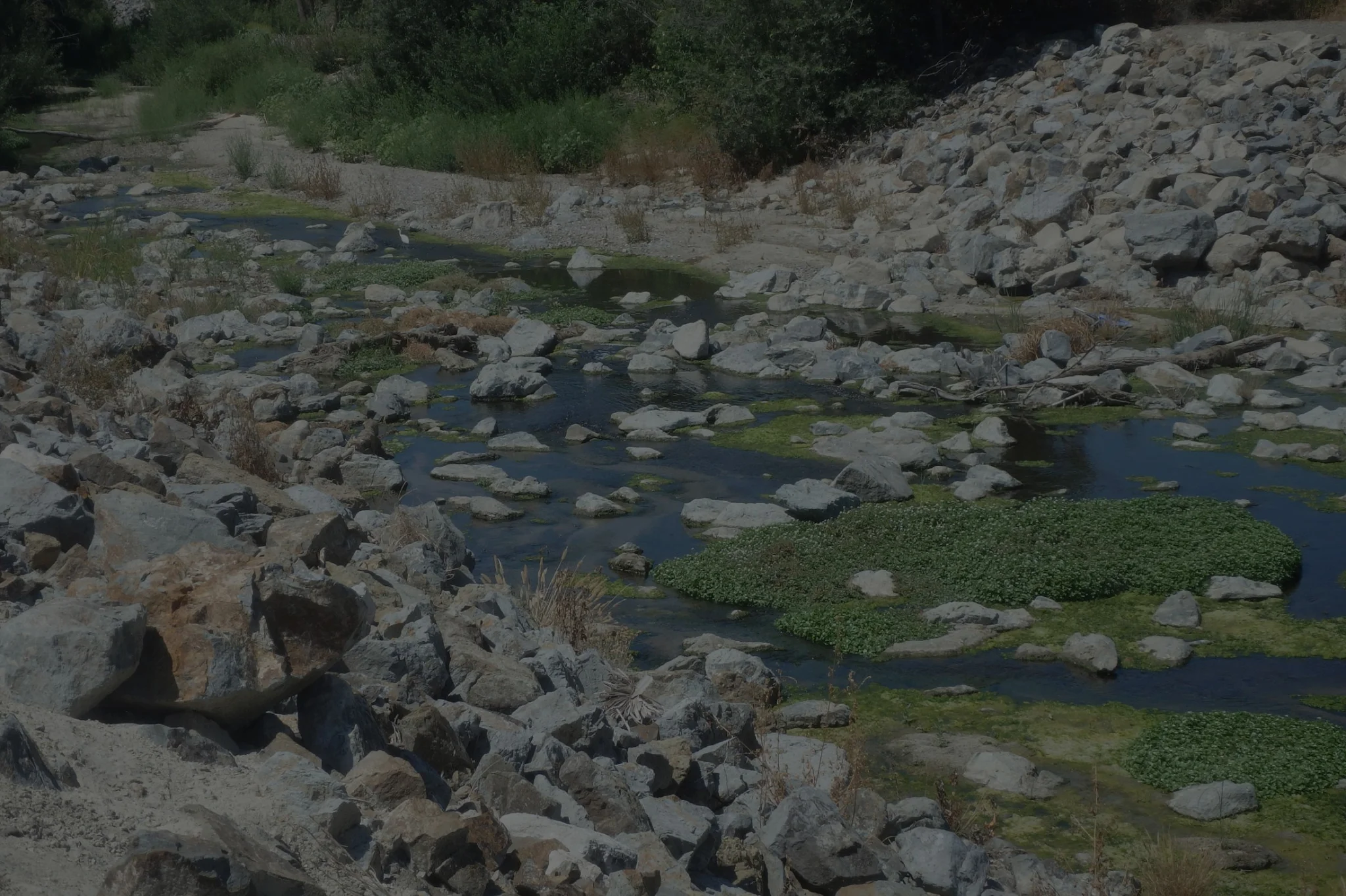 Creek
